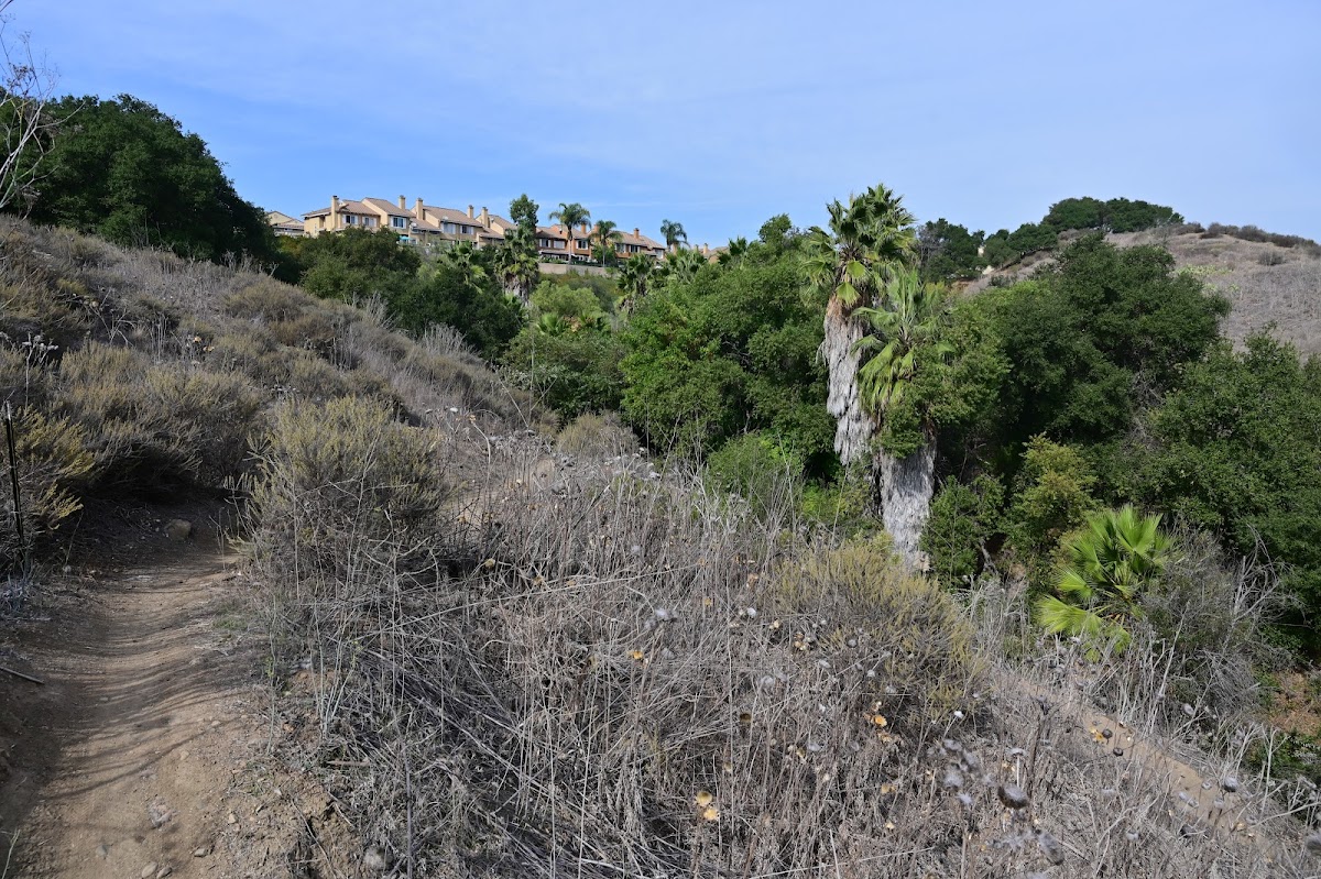 Arroyo Trabuco Trail