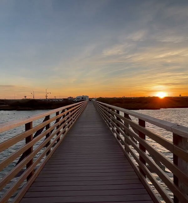 Bolsa Chica Wetlands Guided Walks