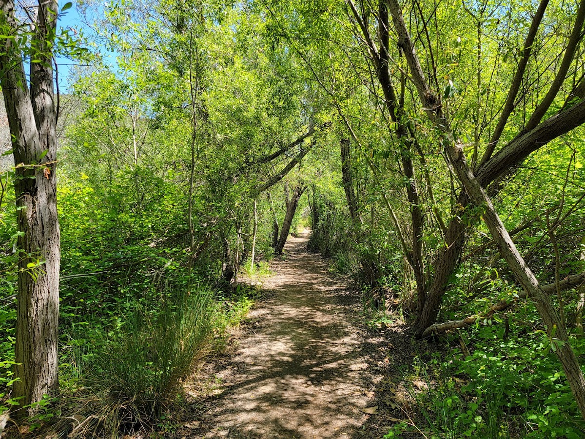 Buck Gully Reserve Trail