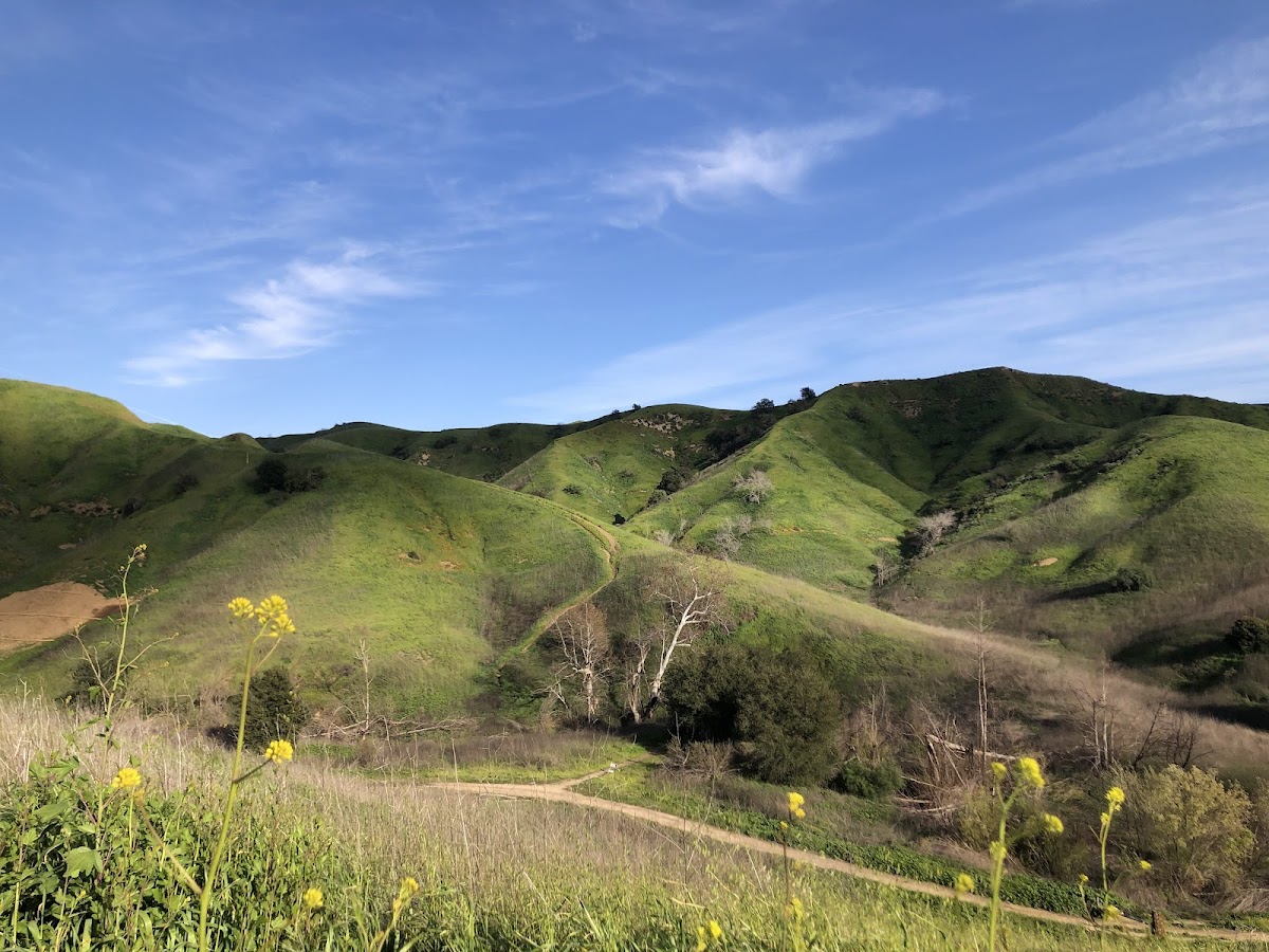Chino Hills State Park Trails