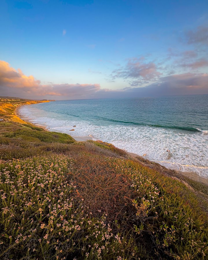 Crystal Cove Bluffs Trail