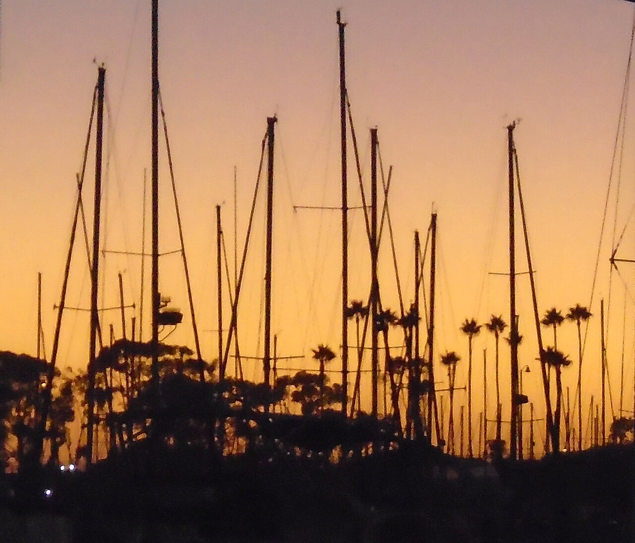 Dana Point Sunset Wine Cruise