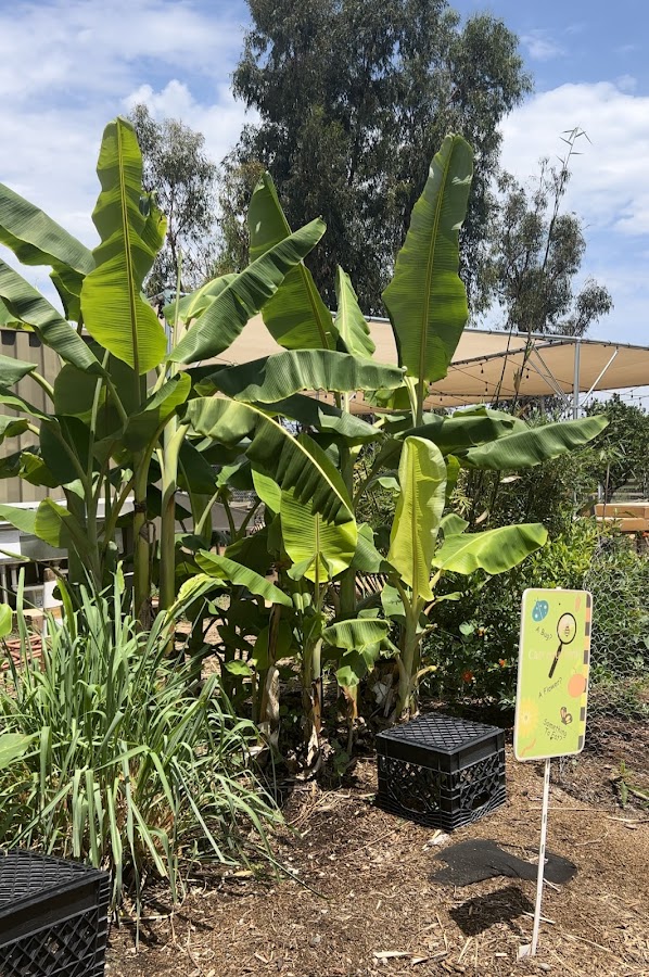 Great Park Farm + Food Lab