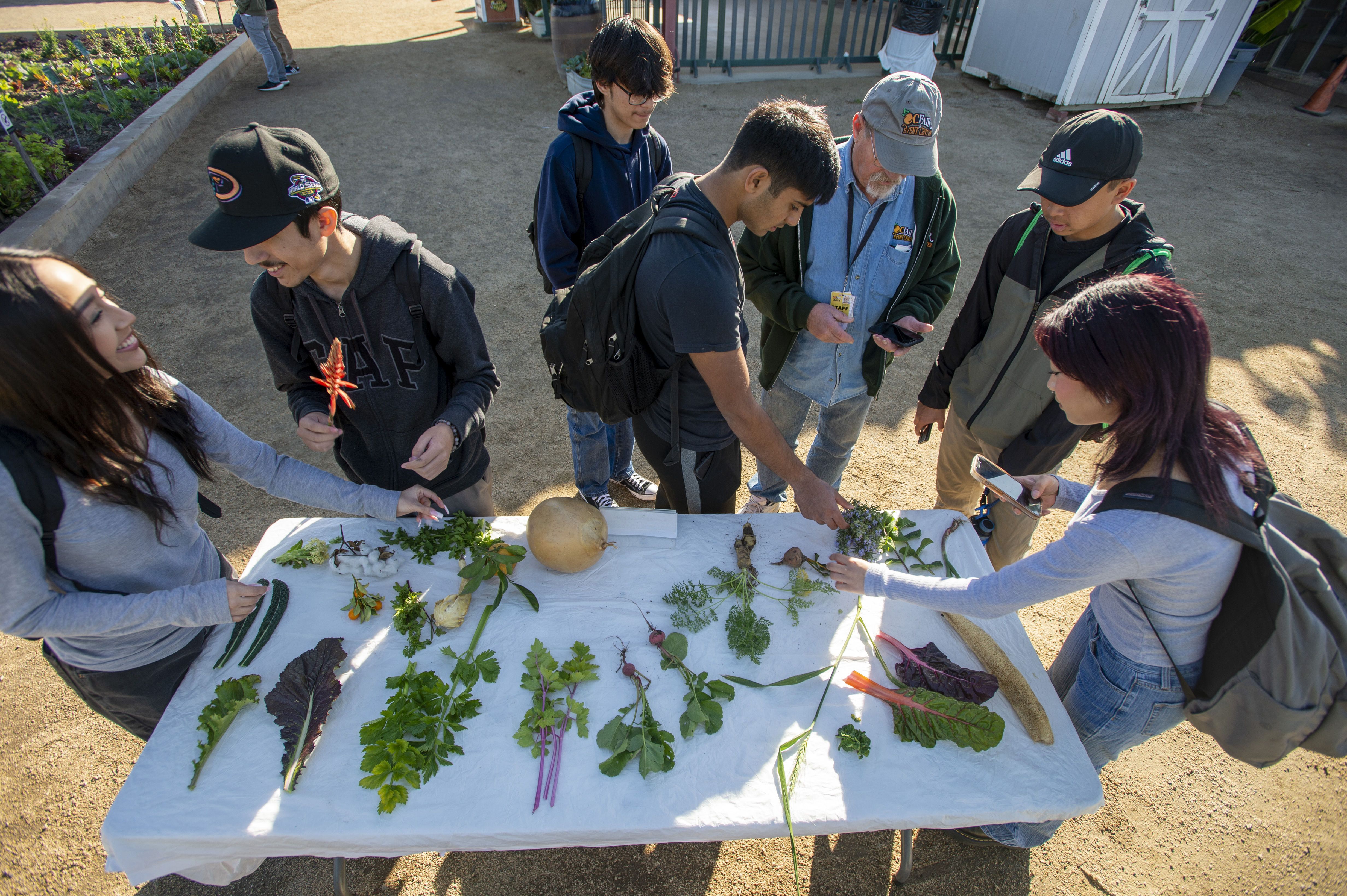 Discovery Day at the Farm