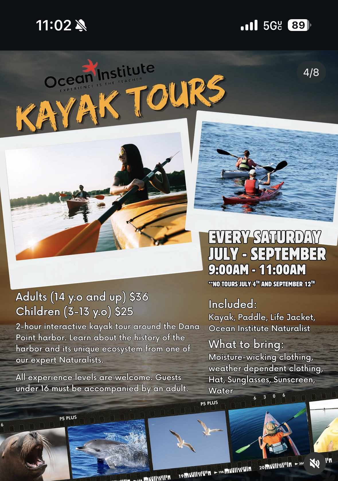 Ocean Institute: Saturday Kayak Tours at Dana Point Harbor