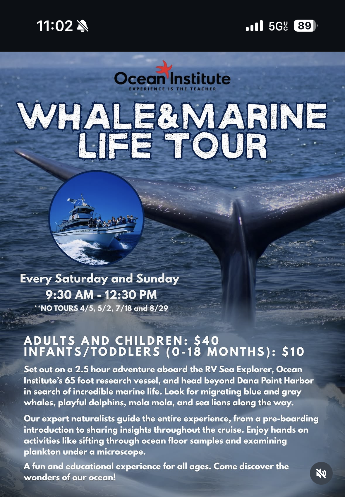 Ocean Institute: Whale & Marine Life Tour