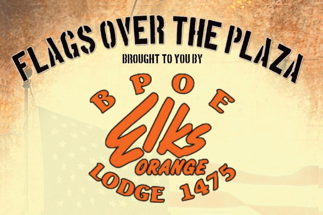 Flags Over the Plaza